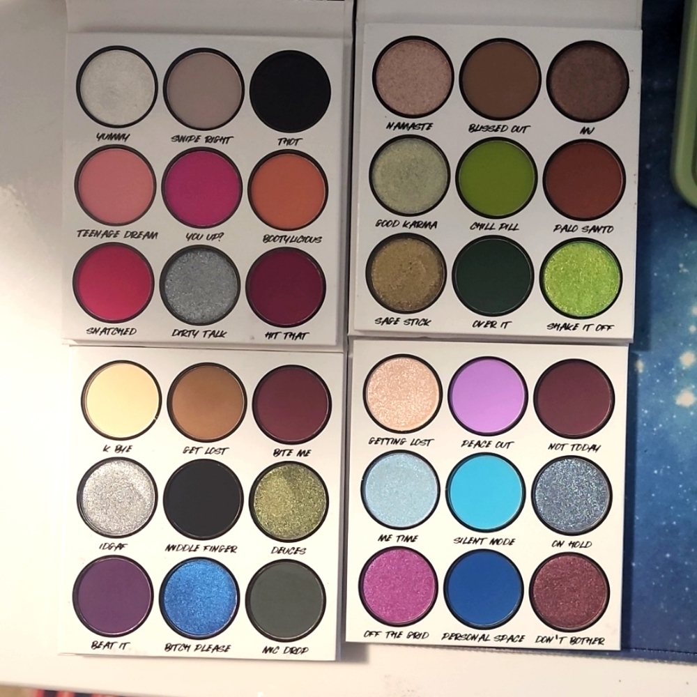 BH Cosmetics Say It Out Loud Collection